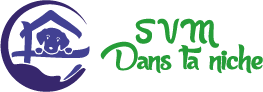 Logo Dans ta niche